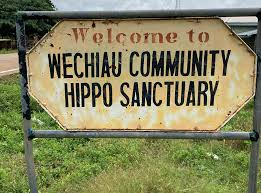 Wechiau Community Hippo Sanctuary — Wechiau (about 70km from Wa) 

One of only two places in Ghana where you can see wild hippopotamuses in their natural habitat. The experience is a guided canoe ride along the Black Volta River through beautiful riparian vegetation, with spotters watching for hippos along the banks. The sanctuary is entirely community-run, meaning your entrance and guide fees go directly into the local community. It's open 24 hours, though early mornings give you the best sightings. A genuinely thrilling and peaceful experience.