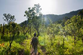 Kyabobo National Park – Near Nkwanta, on the Togo border

Why visit: It is one of Ghana’s best adventure parks, with mountain scenery, wildlife, and views of Lake Volta from Mount Dzebobo.