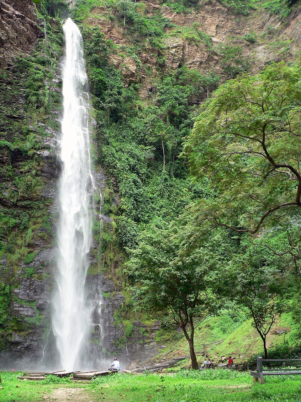 Wli Waterfalls – Near Hohoe, eastern Volta

Tall, two‑stage waterfall in lush forest, often called the tallest in West Africa.

Why visit: Easy, beautiful hike with a dramatic curtain of water and a cool pool at the base, great for photos and refreshing dips.