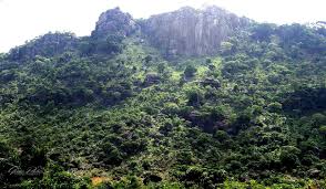 Shai Hills Resource Reserve – Near Dodowa (Eastern Region edge)

Why visit: Granite hills, wildlife like antelopes and baboons, plus ancient caves and carvings for hiking and history.